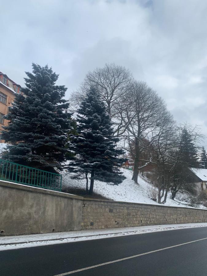 Apartman V Krusnych Horach-Free Parking Jachymov Exterior photo