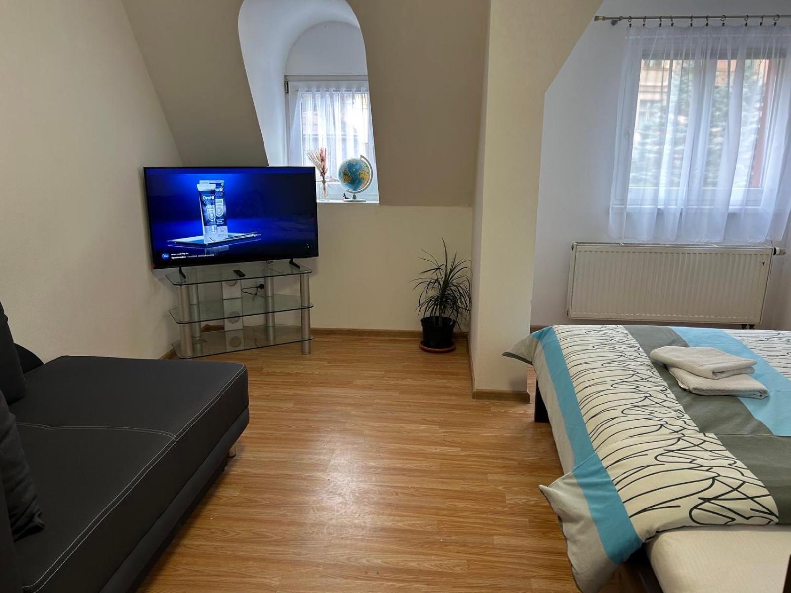 Apartman V Krusnych Horach-Free Parking Jachymov Exterior photo